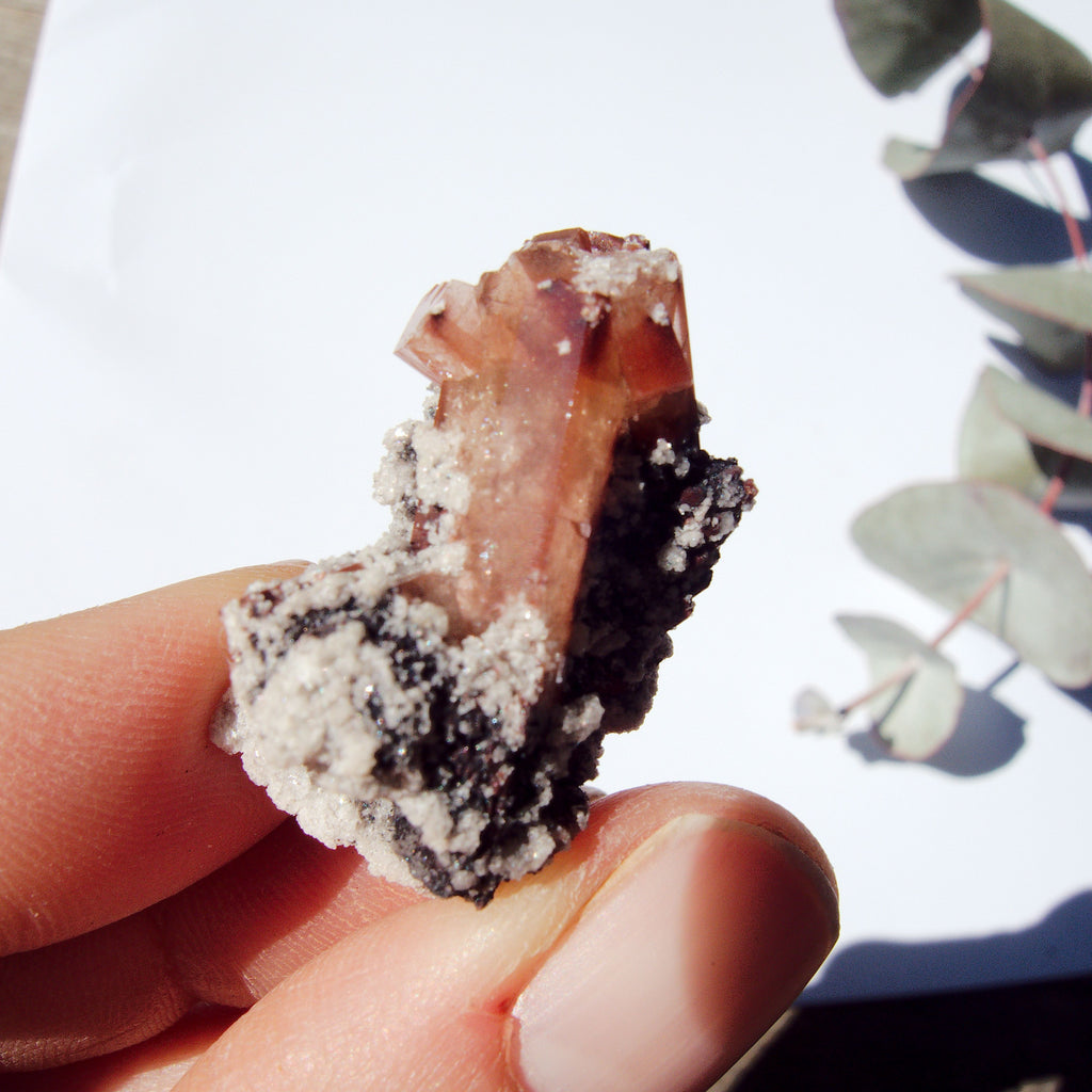 Cute Dainty Orange Topaz Nestled in Matrix From Mexico #1 - Earth Family Crystals