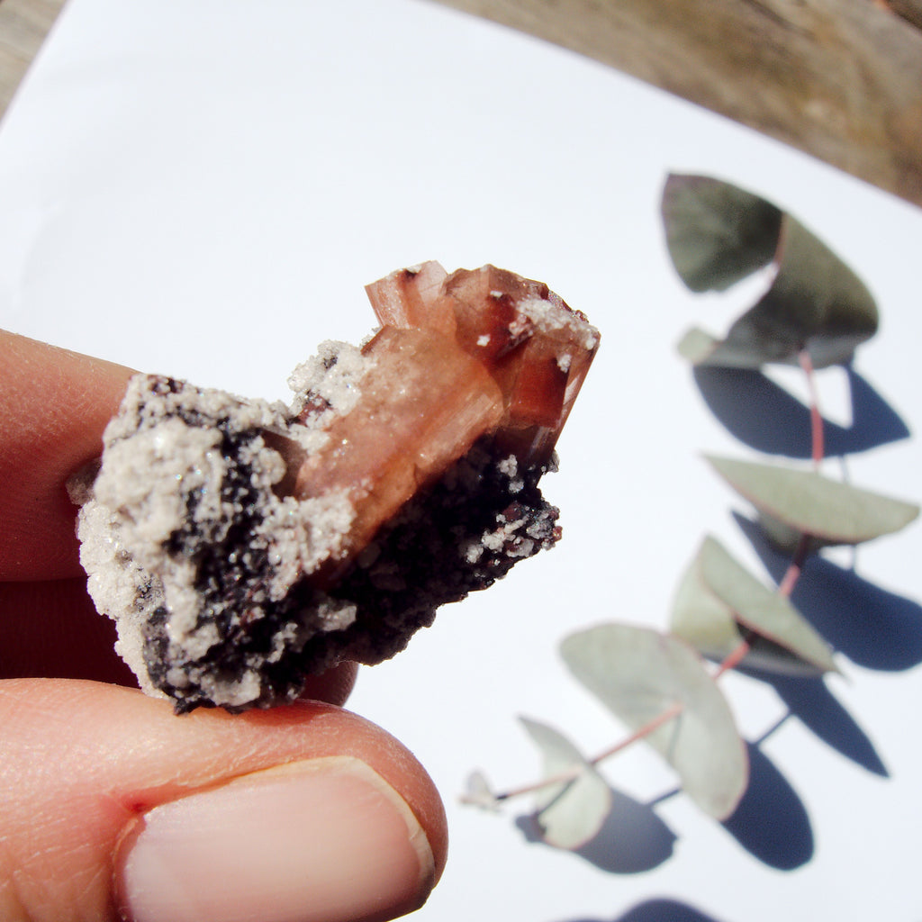 Cute Dainty Orange Topaz Nestled in Matrix From Mexico #1 - Earth Family Crystals