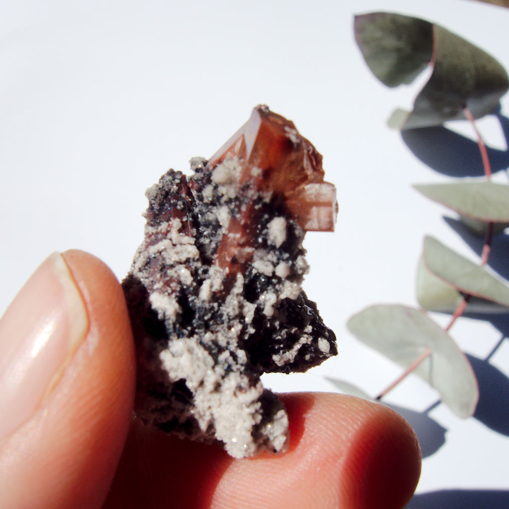 Cute Dainty Orange Topaz Nestled in Matrix From Mexico #1 - Earth Family Crystals