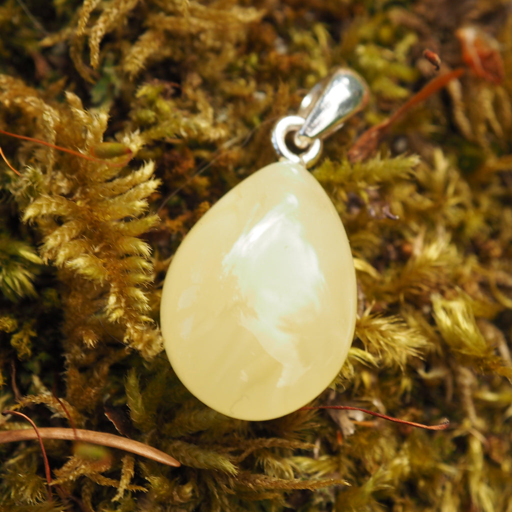 Lithuanian Baltic Amber Dainty Butterscotch Pendant in Sterling Silver ( Includes Silver Chain) #1 - Earth Family Crystals
