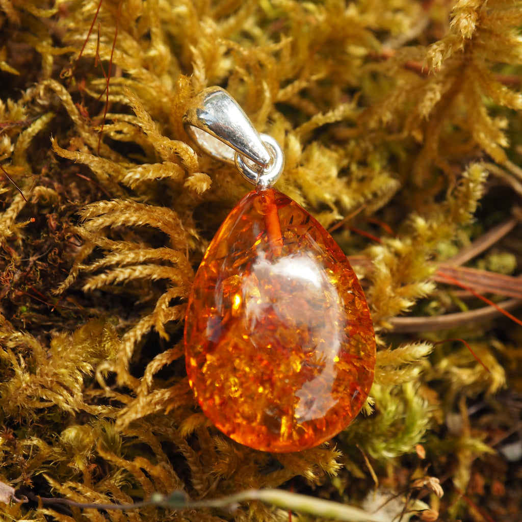 Lithuanian Baltic Amber Dainty Cognac Pendant in Sterling Silver ( Includes Silver Chain) #1 - Earth Family Crystals
