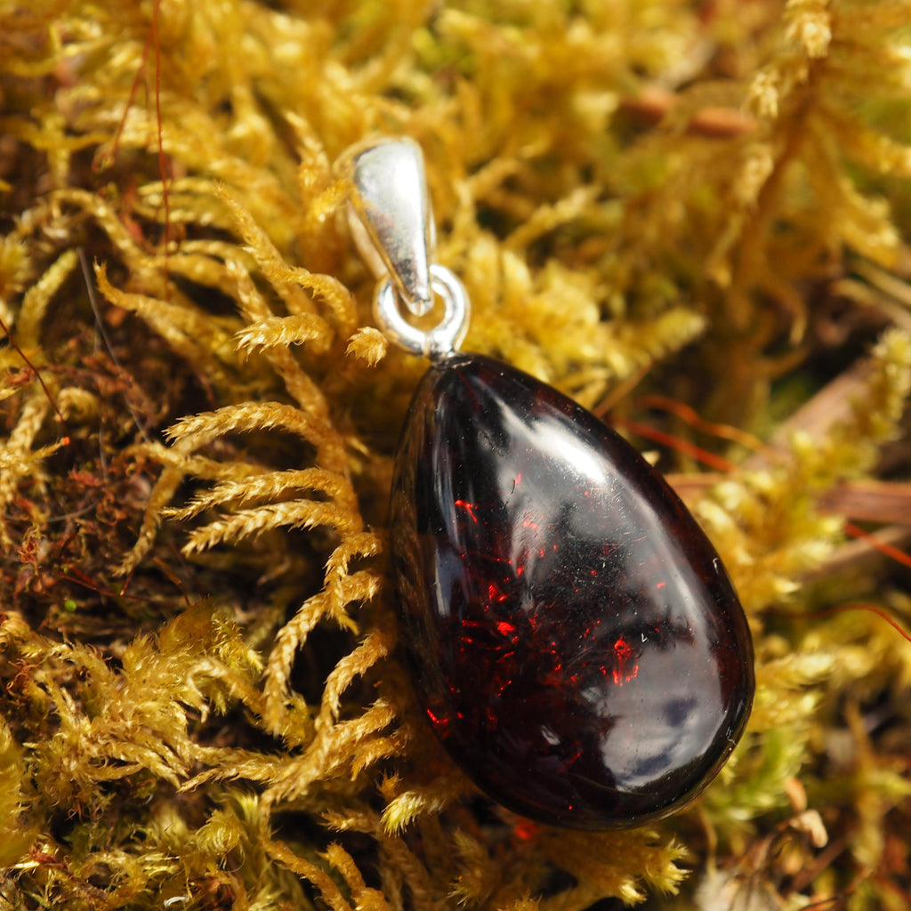 Lithuanian Baltic Amber Dainty Deep Burgundy Pendant in Sterling Silver ( Includes Silver Chain) #1 - Earth Family Crystals