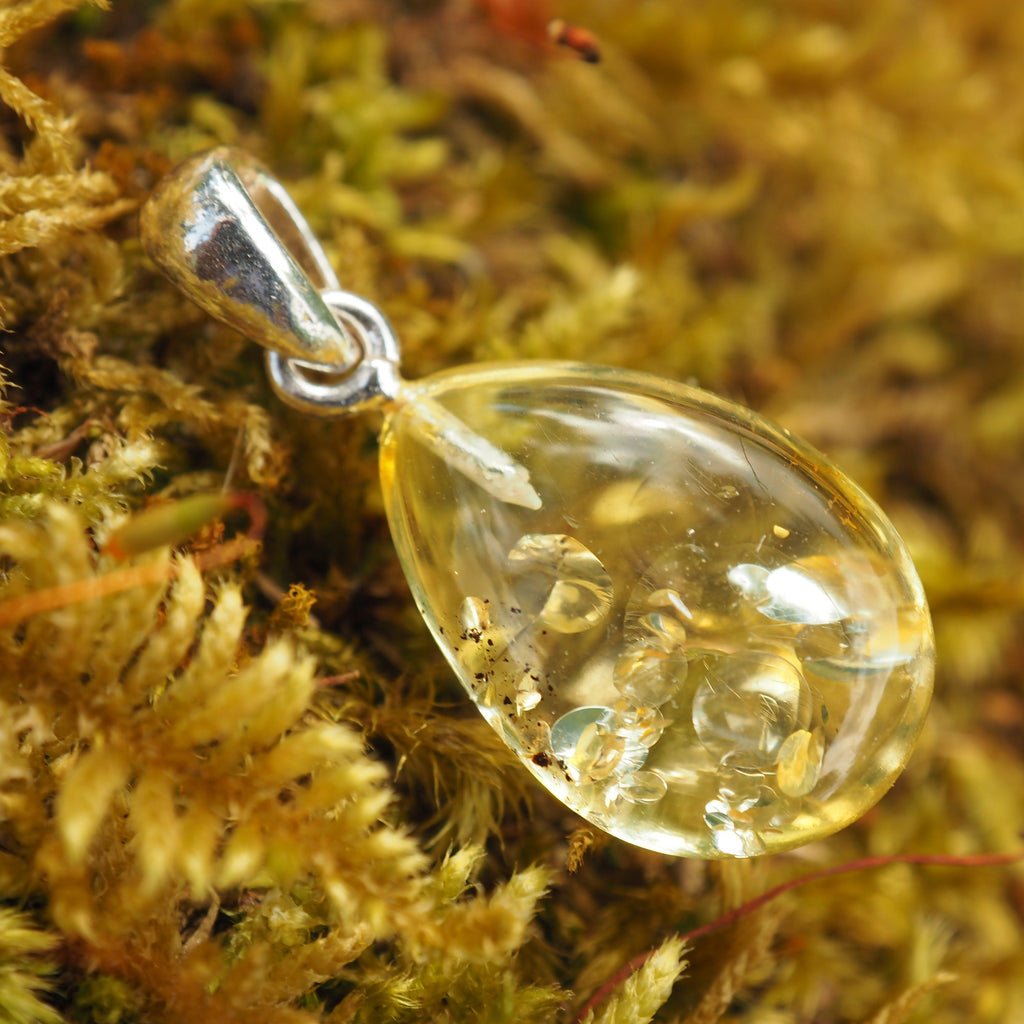 Lithuanian Baltic Amber Dainty Lemon Pendant in Sterling Silver ( Includes Silver Chain) #1 - Earth Family Crystals