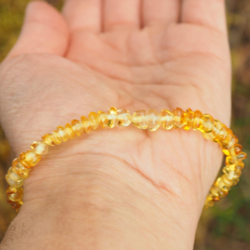 Lithuanian Baltic Amber Lemon Bracelet on Stretchy Elastic Cord - Earth Family Crystals