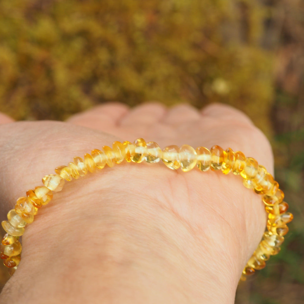 Lithuanian Baltic Amber Lemon Bracelet on Stretchy Elastic Cord - Earth Family Crystals