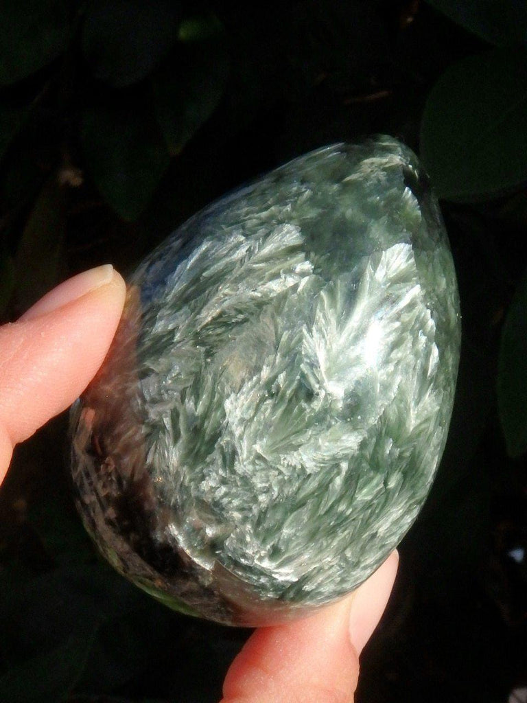 Amazing Silvery Angel Wings Seraphinite Egg Specimen - Earth Family Crystals