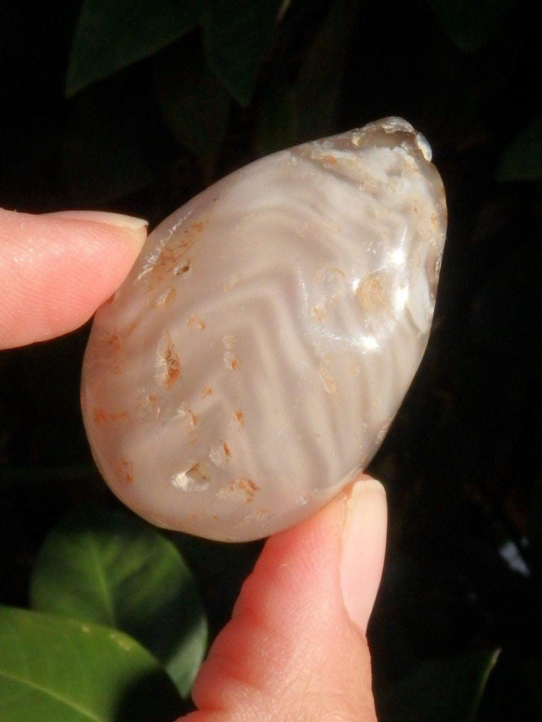 Ancient Water Included (Enhydro) AGATE NODULE SPECIMEN From Brazil - Earth Family Crystals