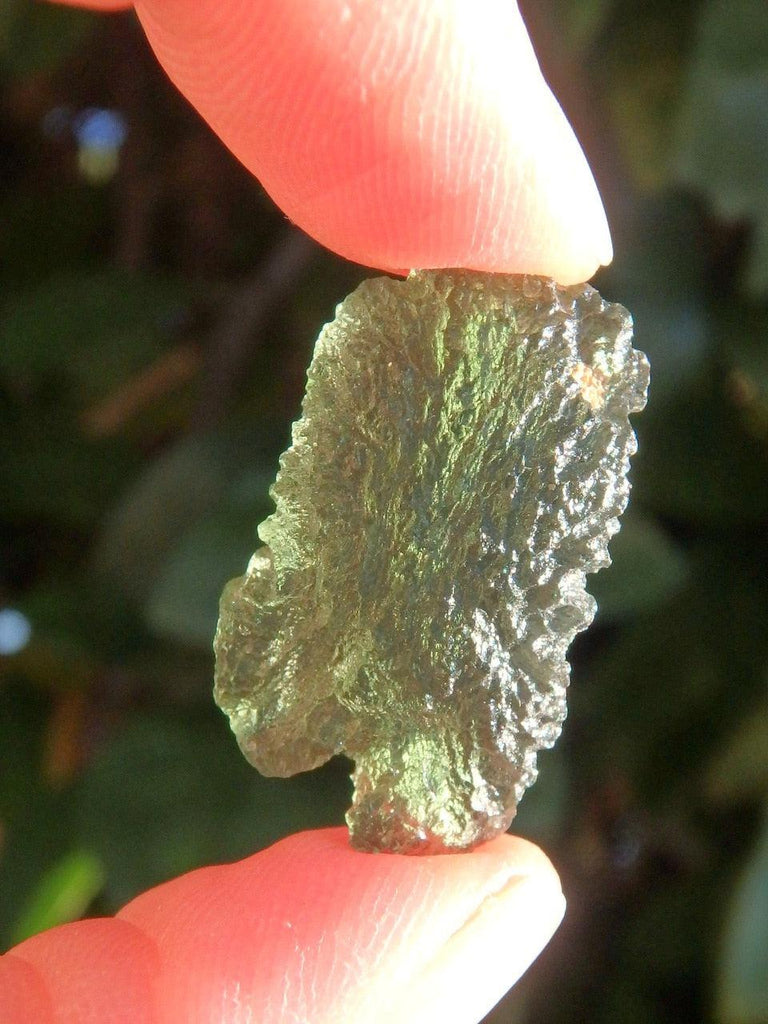 High Vibration Gorgeous Green Moldavite Specimen** - Earth Family Crystals