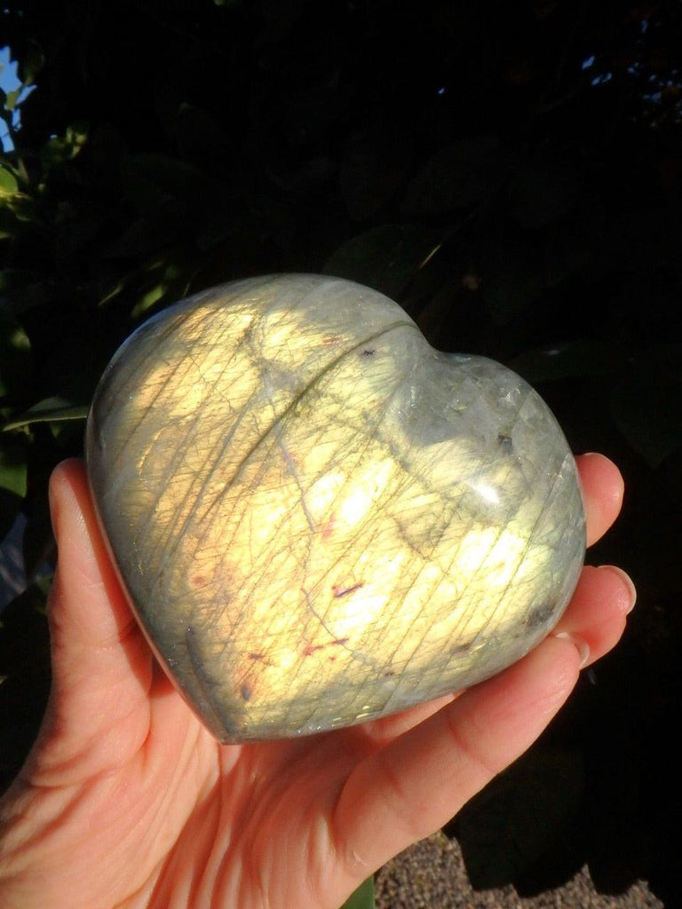 Puffy Golden Flash Large Labradorite Heart Carving - Earth Family Crystals