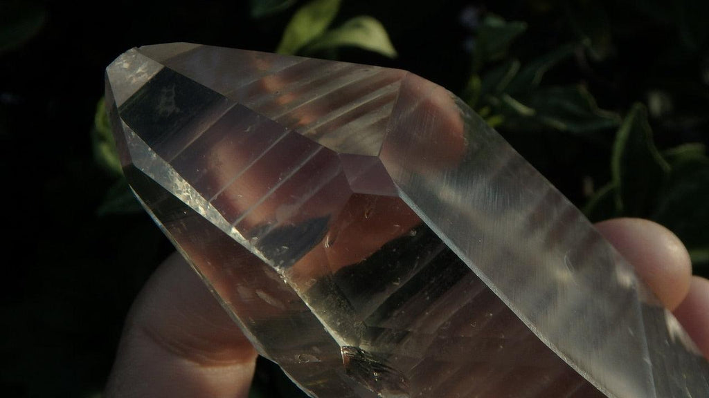 High Clarity LEMURIAN SEED POINT With Time Portal Windows - Earth Family Crystals