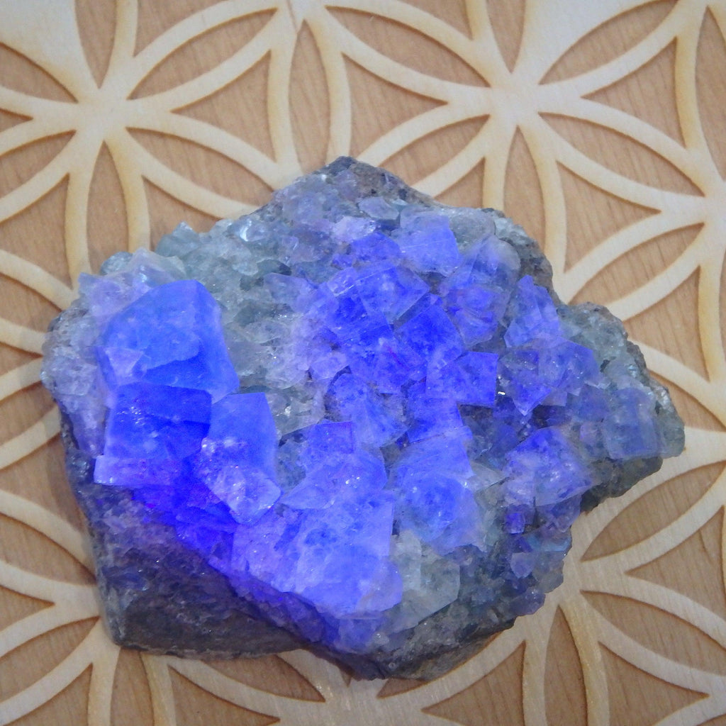 Fluorescence Crystal~Famous Rogerly Mine Cubic Fluorite From England - Earth Family Crystals