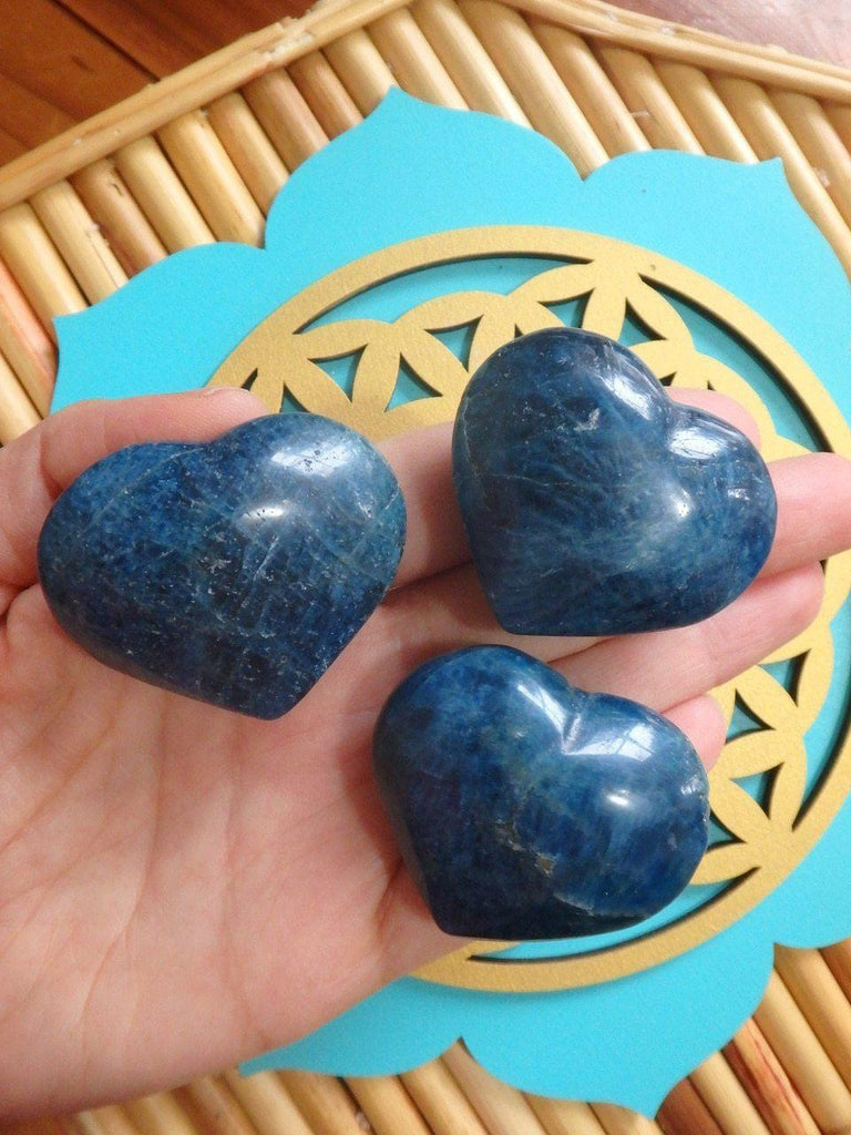 Divine Deep Blue Apatite Heart Carvings (1) - Earth Family Crystals