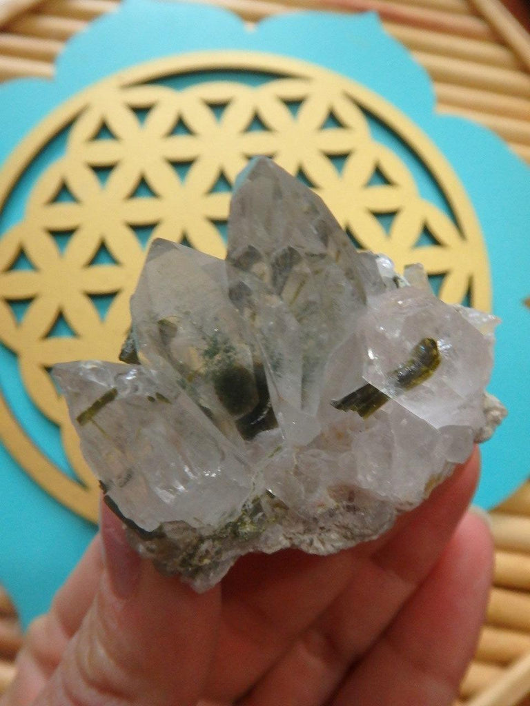 Lovely Brazillian Clear Quartz & Forest Green Epidote Cluster - Earth Family Crystals