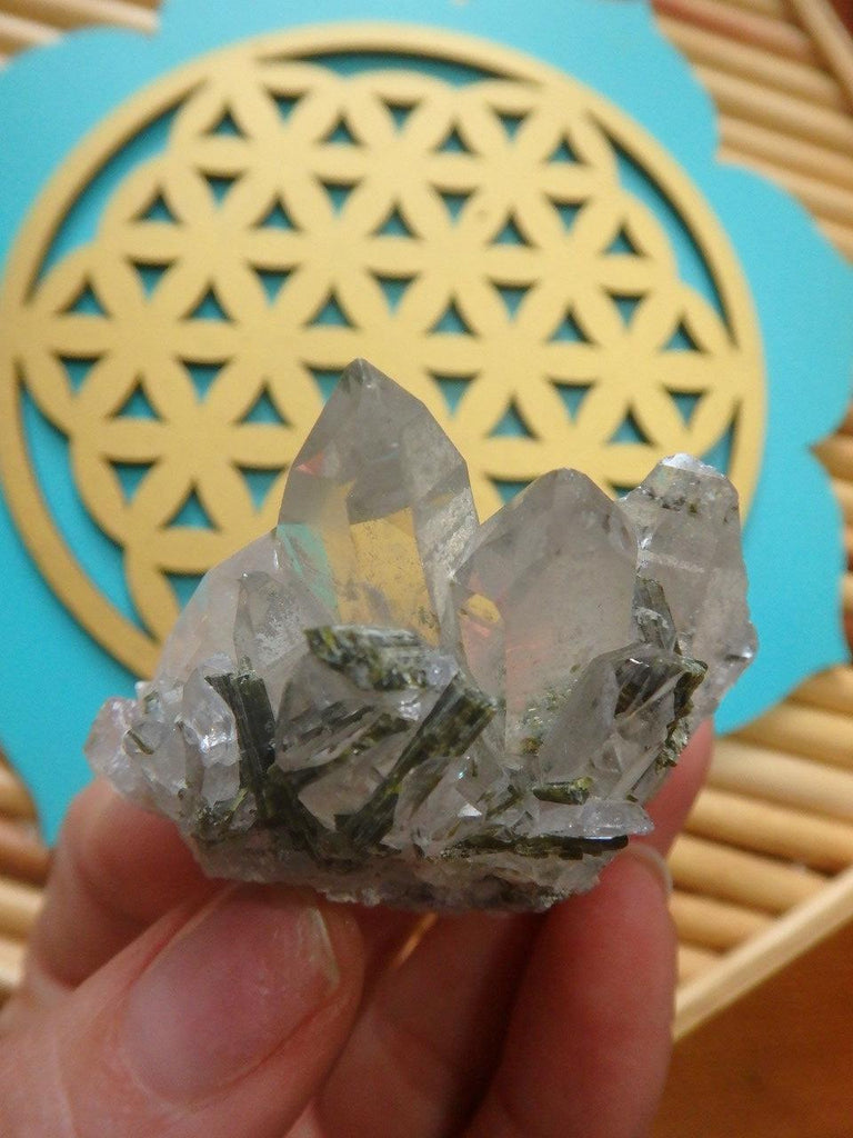 Lovely Brazillian Clear Quartz & Forest Green Epidote Cluster - Earth Family Crystals