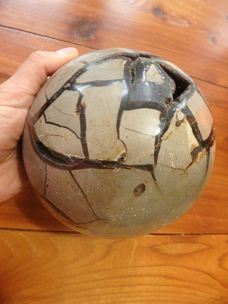 Jaw Dropping Amazing Jumbo Septarian Dragon Geode Sphere With Calcite Druzy & Deep Silky Brown Caves - Earth Family Crystals