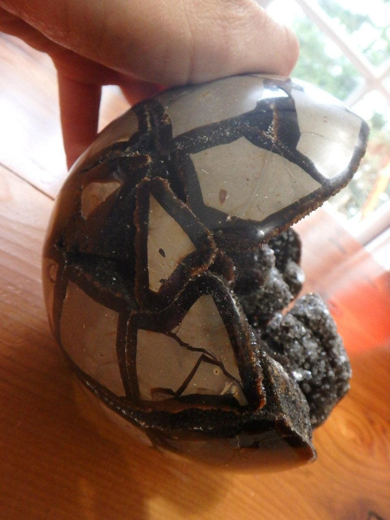 Jaw Dropping Amazing Jumbo Septarian Dragon Geode Sphere With Calcite Druzy & Deep Silky Brown Caves - Earth Family Crystals
