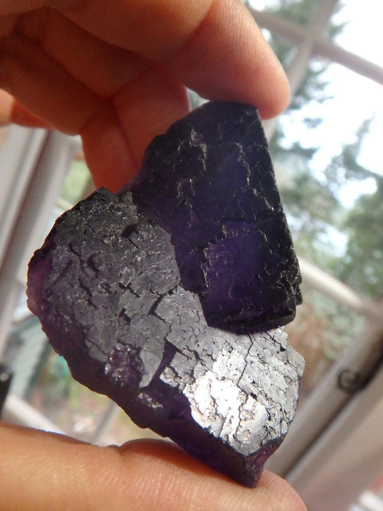 Fascinating Fractal Pattern Midnight Purple Fluorite  Specimen - Earth Family Crystals