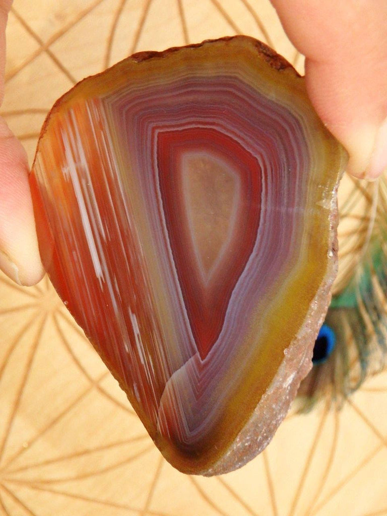 Stunning Australian Horizon Agate Partially Polished Specimen - Earth Family Crystals