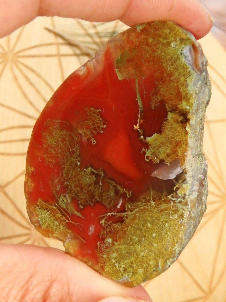 Fiery Red Australian Agate Partially Polished Specimen - Earth Family Crystals