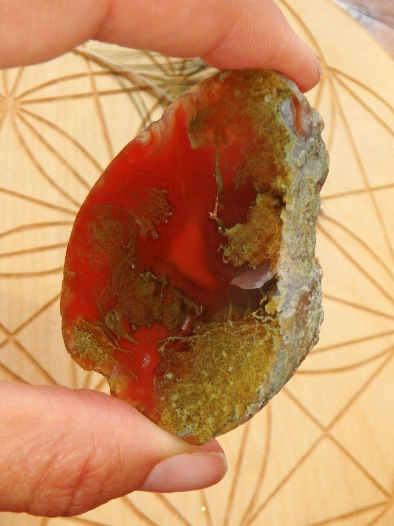 Fiery Red Australian Agate Partially Polished Specimen - Earth Family Crystals
