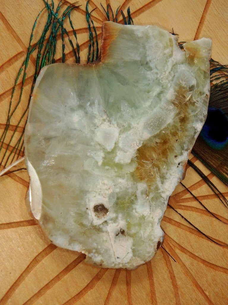 Shiny Australian Mint Green Prehnite Slice~Perfect For Healing Work! - Earth Family Crystals