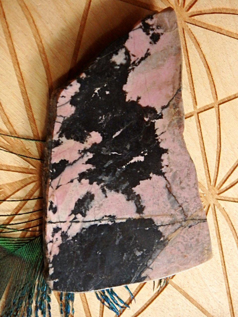 Lovely 2 Tone Australian Rhodonite Partially Polished Free Form Specimen - Earth Family Crystals