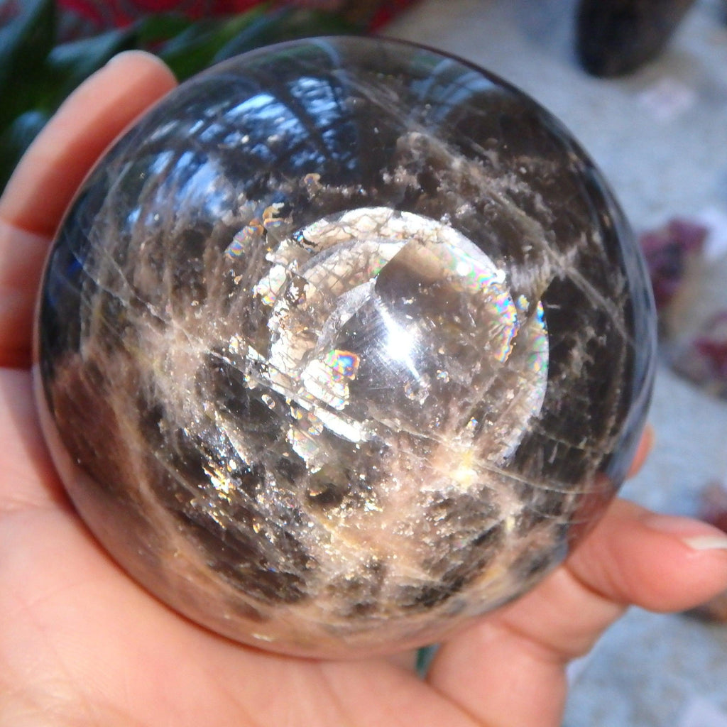 Hypnotic Rainbows & Sheen Large Black Moonstone Sphere Carving - Earth Family Crystals