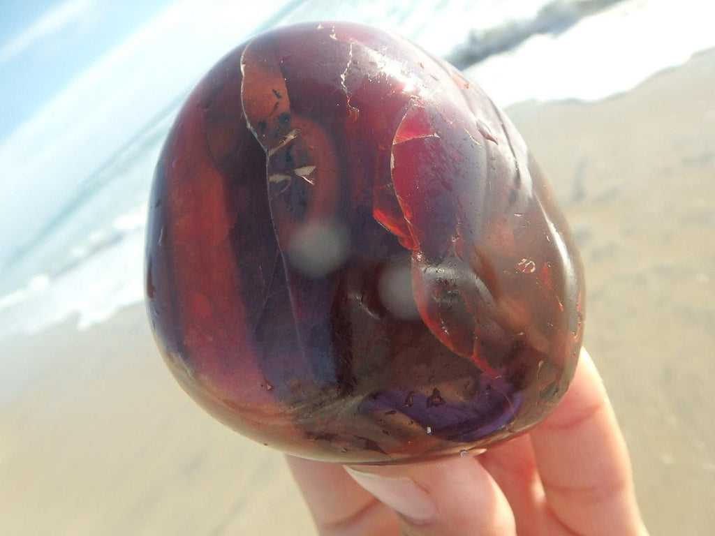 Ocean Cleansed! Fire Red & Orange CARNELIAN SPECIMEN - Earth Family Crystals