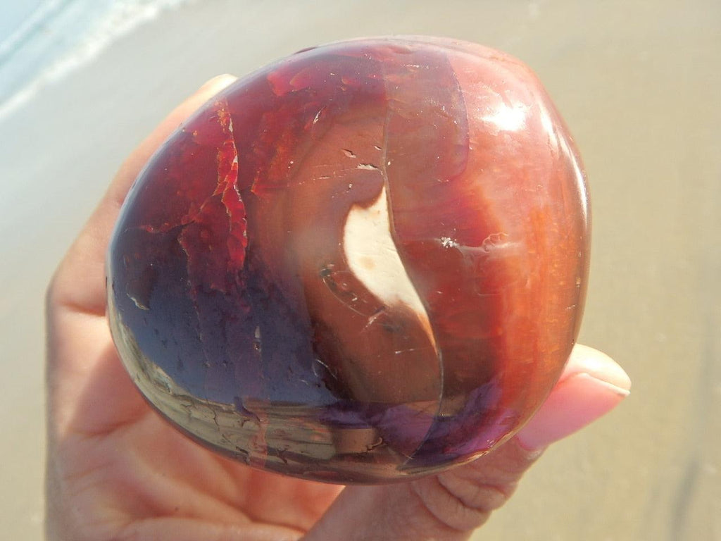 Ocean Cleansed! Fire Red & Orange CARNELIAN SPECIMEN - Earth Family Crystals