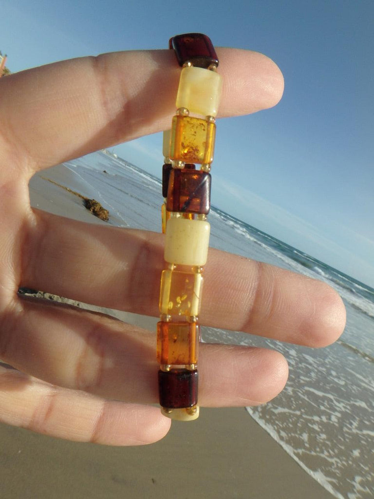 Gorgeous Genuine Baltic Amber Bracelet - Earth Family Crystals