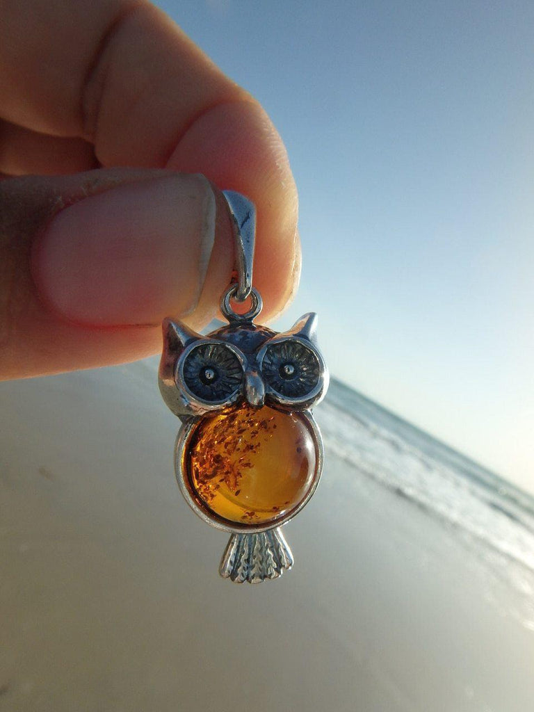 BALTIC AMBER OWL PENDANT In Sterling Silver (Includes Silver Chain) - Earth Family Crystals