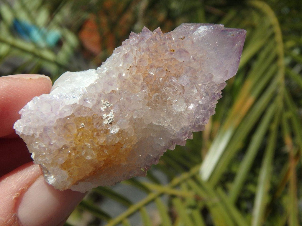 AMETRINE SPIRIT QUARTZ POINT With Record Keepers - Earth Family Crystals
