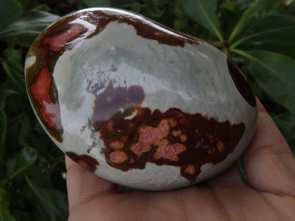 Colorful POLYCHROME JASPER SPECIMEN - Earth Family Crystals