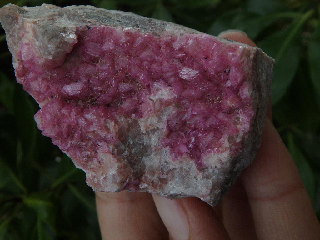 Pretty Pink COBALTIAN CALCITE SPECIMEN - Earth Family Crystals