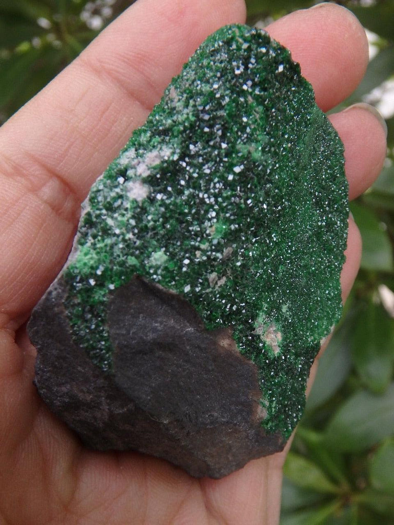 RARE! Gorgeous Sparkling Green UVAROVITE GARNET Specimen From Russia - Earth Family Crystals