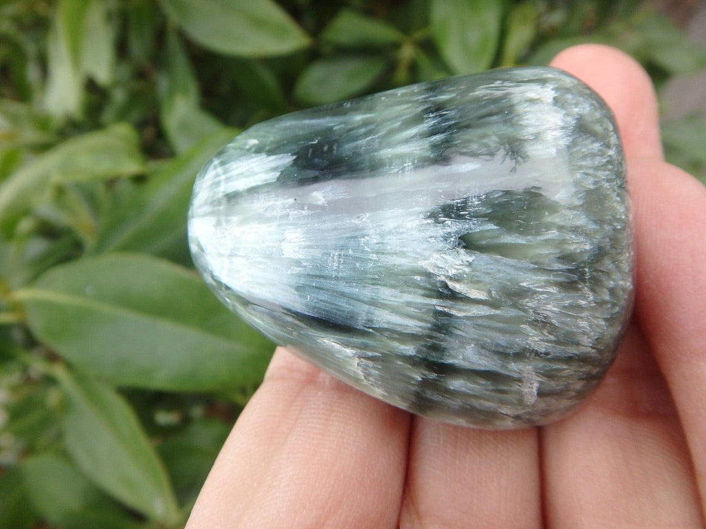 Superb Silvery Angel Wings & Dark Green SERAPHINITE Specimen - Earth Family Crystals