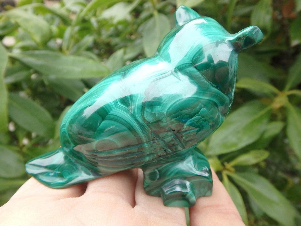 Gorgeous MALACHITE OWL CARVING - Earth Family Crystals
