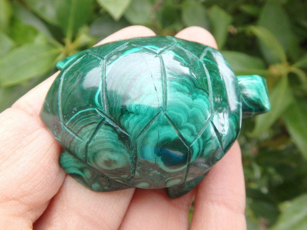 Precious Green MALACHITE TURTLE CARVING - Earth Family Crystals