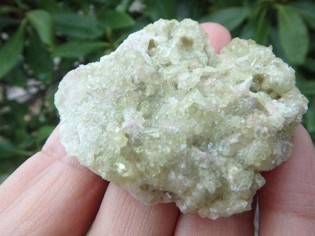 GREEN VESUVIANITE SPECIMEN From Quebec - Earth Family Crystals