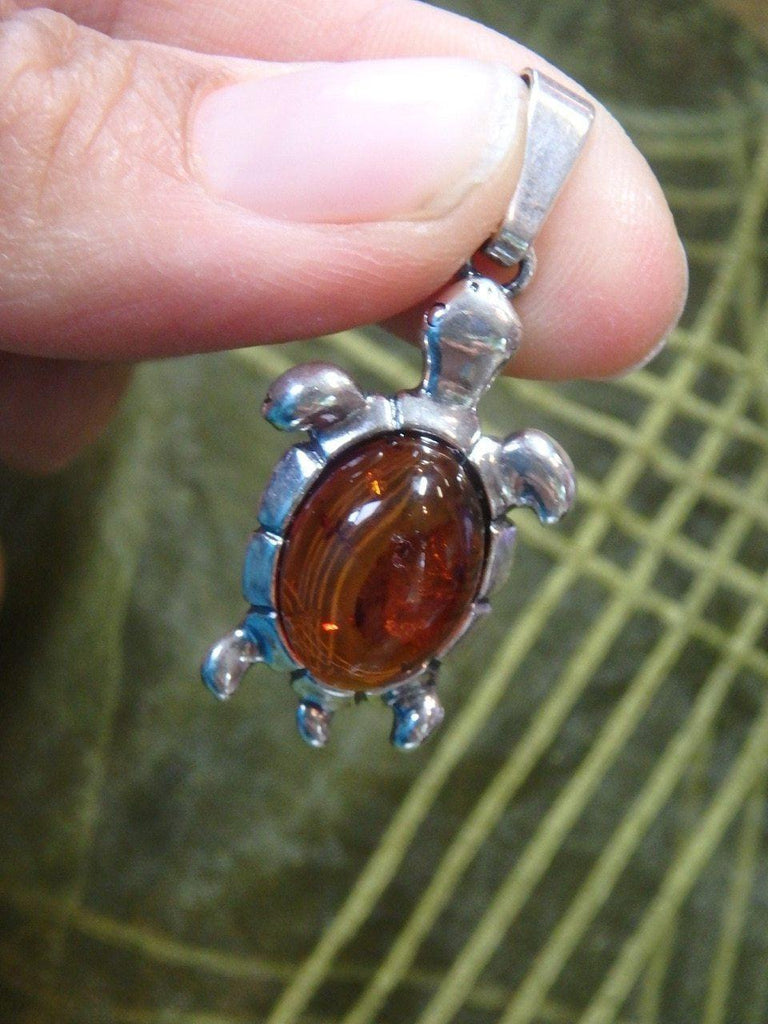 COGNAC BALTIC AMBER TURTLE PENDANT In Sterling Silver (Includes Silver Chain) - Earth Family Crystals