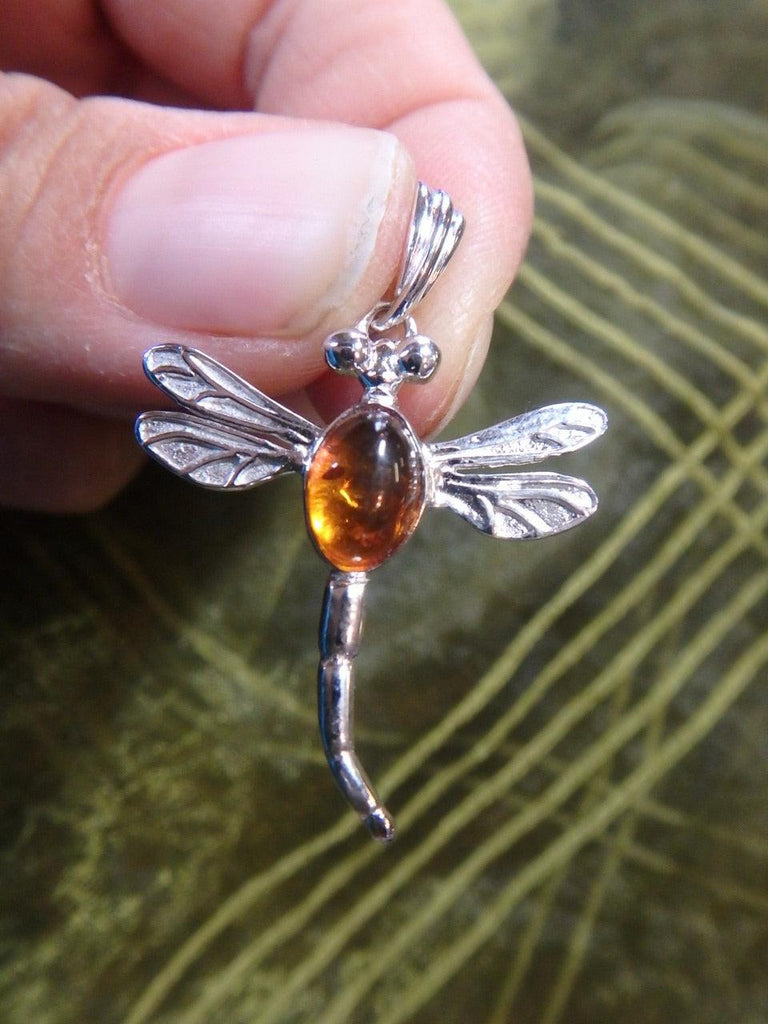 Precious BALTIC AMBER DRAGONFLY PENDANT In Sterling Silver (Includes Silver Chain) - Earth Family Crystals