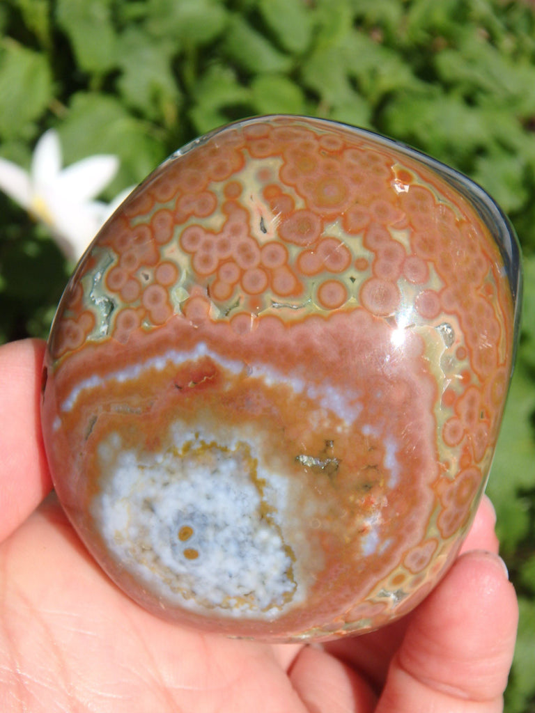 Creamy Orbs and Caves Madagascar Ocean Jasper Specimen - Earth Family Crystals