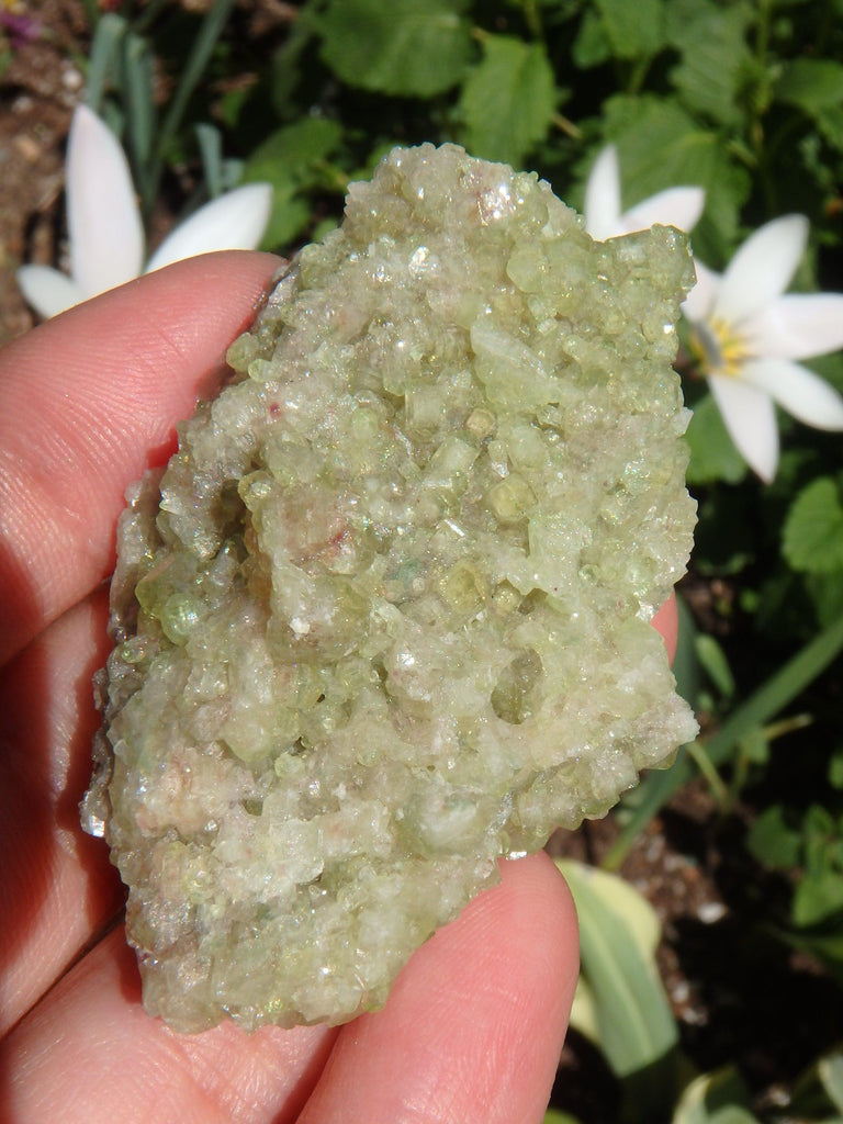 Gorgeous Green Sparkle Natural Vesuvanite Cluster From Quebec - Earth Family Crystals