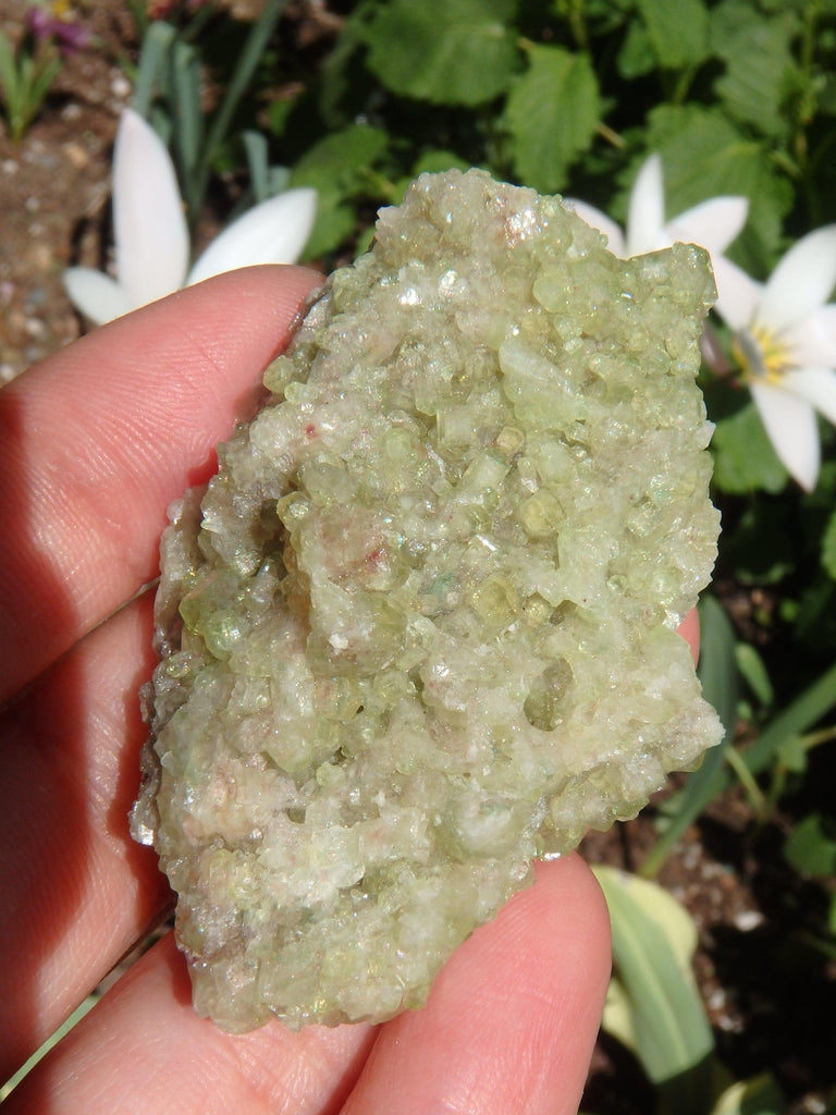 Gorgeous Green Sparkle Natural Vesuvanite Cluster From Quebec - Earth Family Crystals