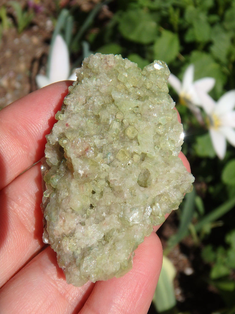 Gorgeous Green Sparkle Natural Vesuvanite Cluster From Quebec - Earth Family Crystals