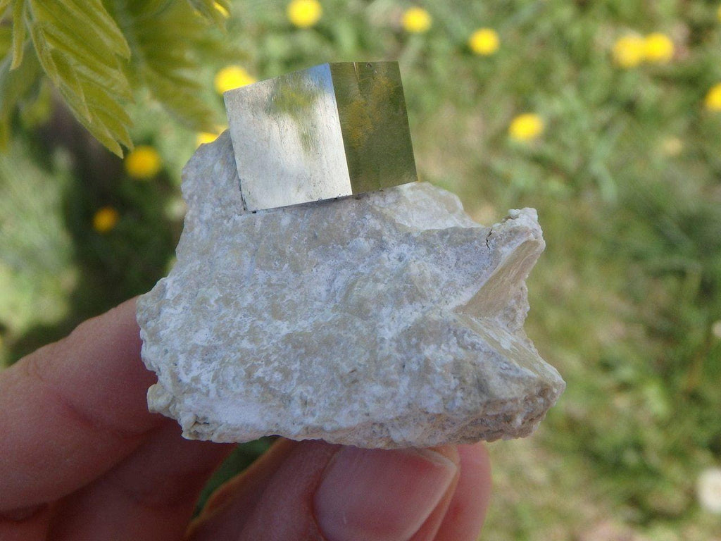 Perfectly Natural Cubic PYRITE In Matrix From Spain - Earth Family Crystals