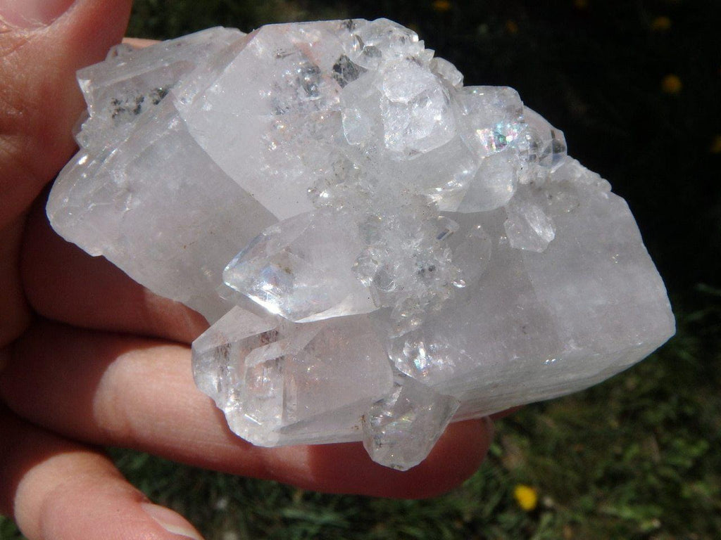 Gorgeous CLEAR APOPHYLLITE CLUSTER - Earth Family Crystals