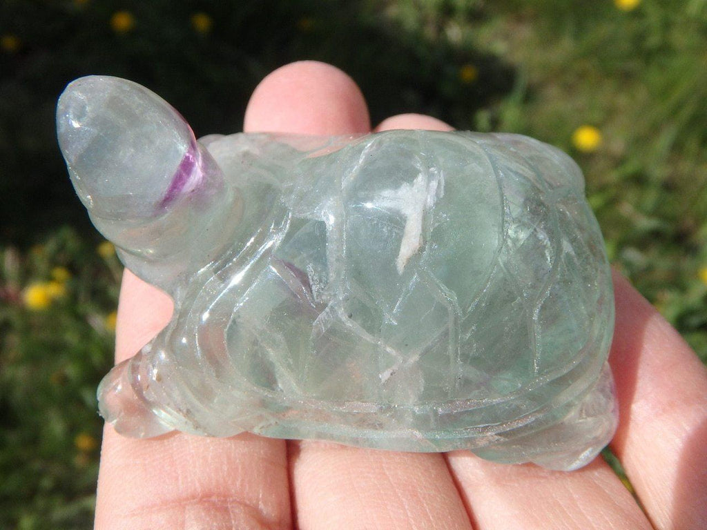 Adorable Green FLUORITE TURTLE CARVING - Earth Family Crystals