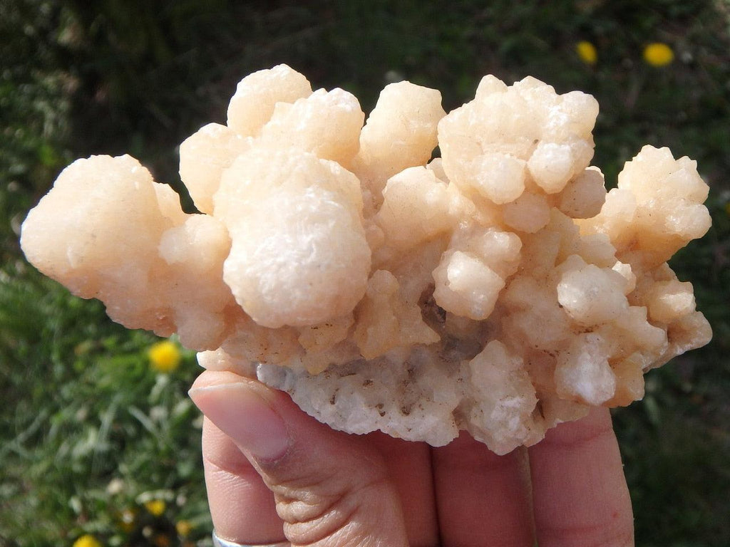 Pretty Peach Pink CALCITE FLOWER - Earth Family Crystals
