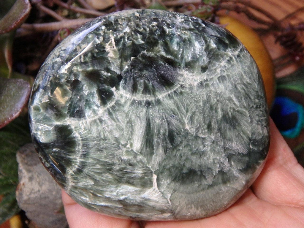 Super Stunning Silver Sheen & Deep Green SERAPHINITE SPECIMEN - Earth Family Crystals